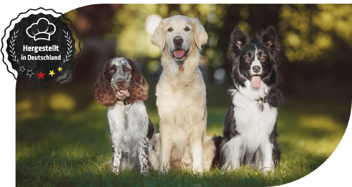 hoeveler dog banner hunde natur hoeveler dog banner hunde natur